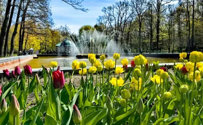 Майские праздники в Петербурге Майские праздники в Петербурге